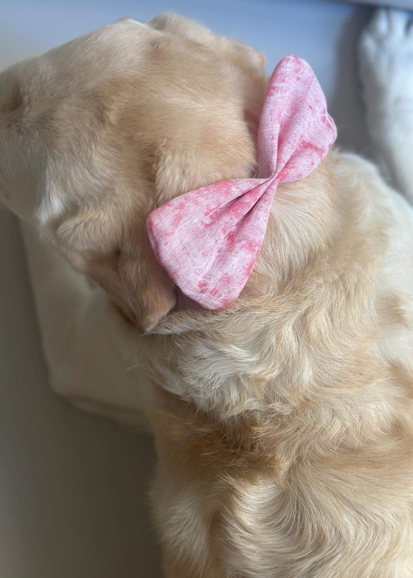 Bow Tie in Pink Floral Jacquard