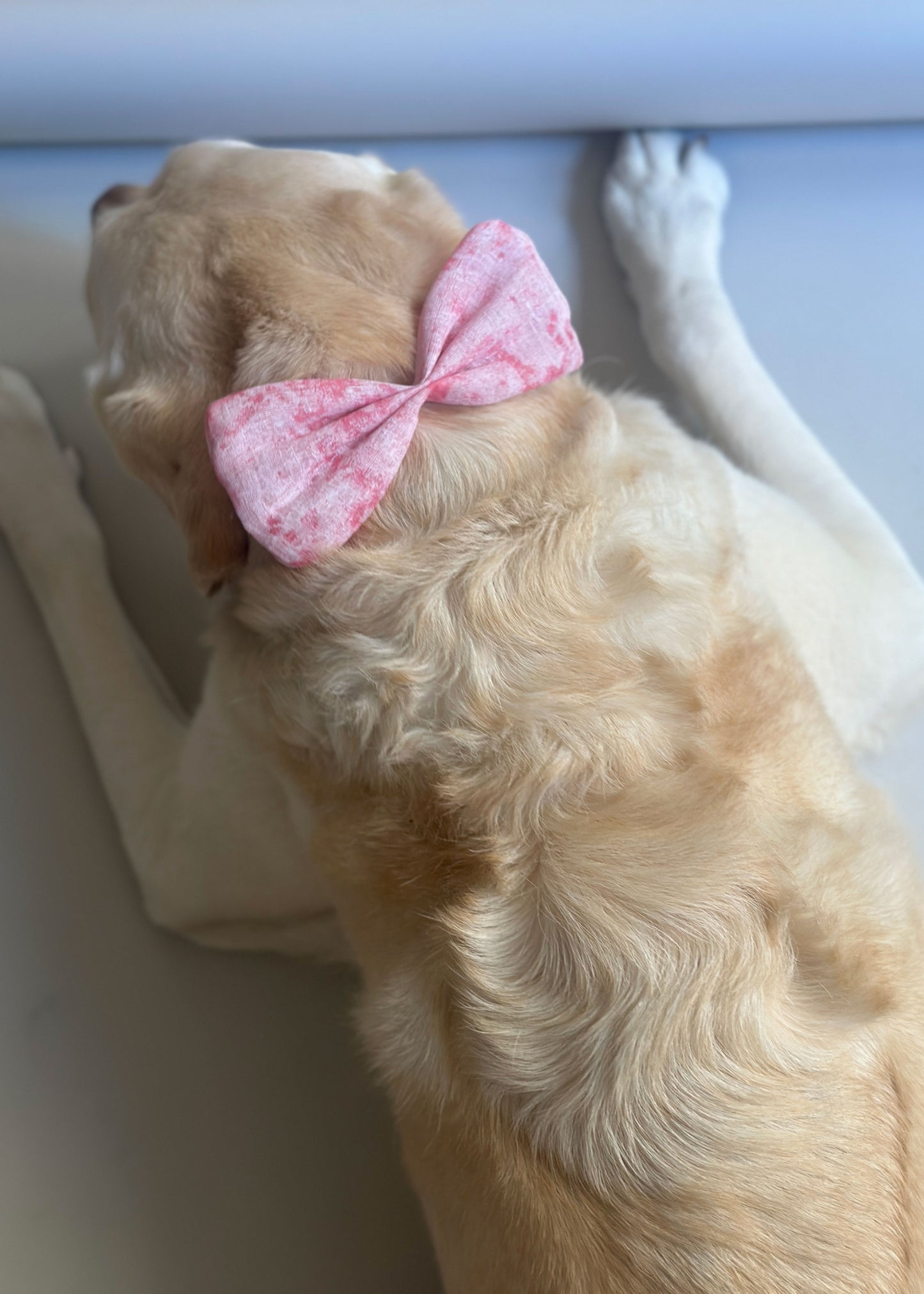 Bow Tie in Pink Floral Jacquard