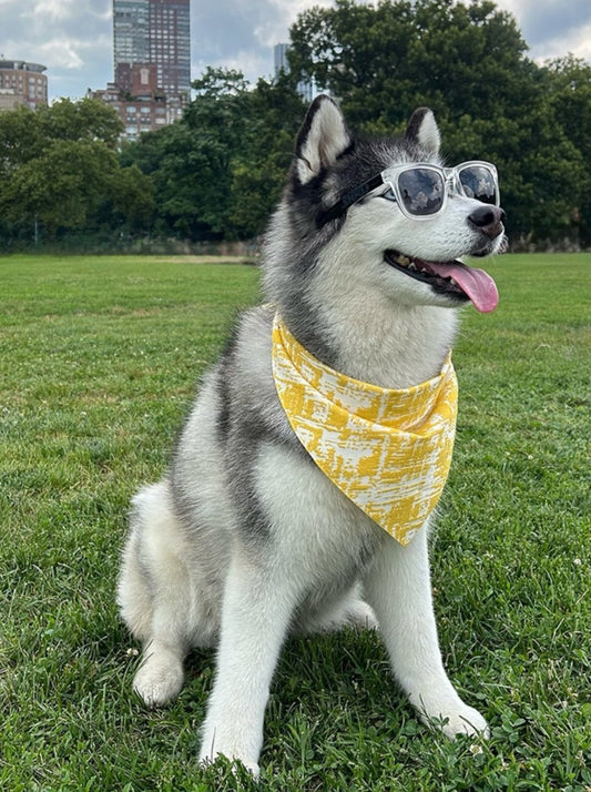 Bandana in Yellow Jacquard