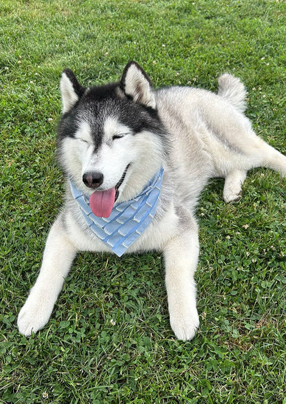 Bandana in Fil Coupe