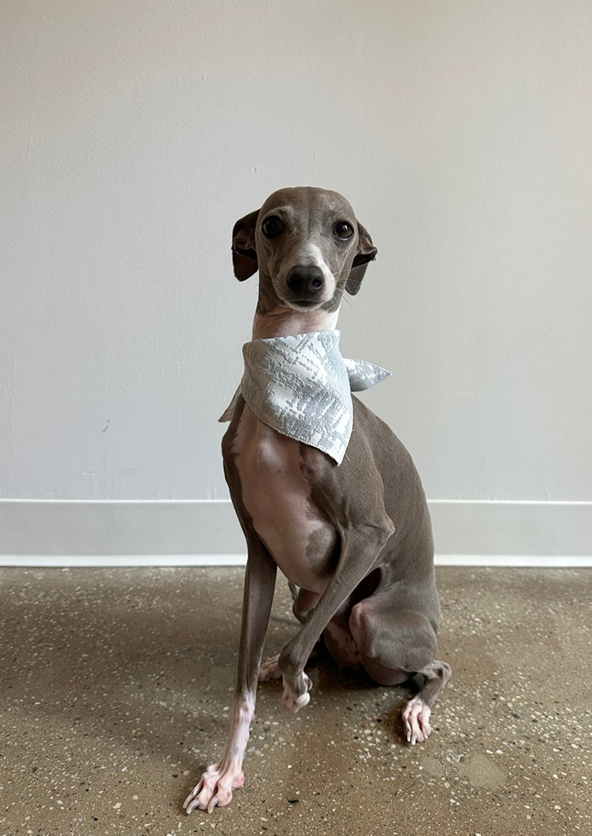 Bandana in Sky Jacquard