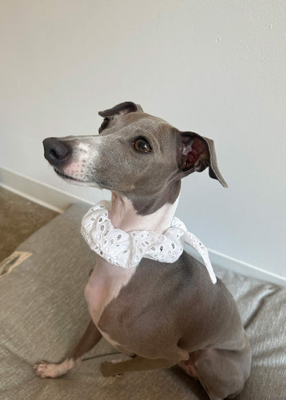 Scrunchie Bow in White Eyelet