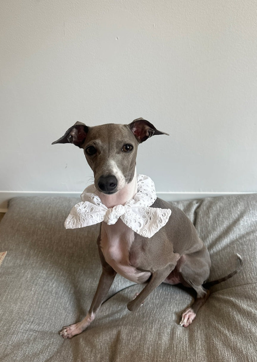 Scrunchie Bow in White Eyelet