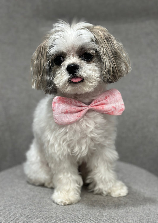 Bow Tie in Pink Floral Jacquard