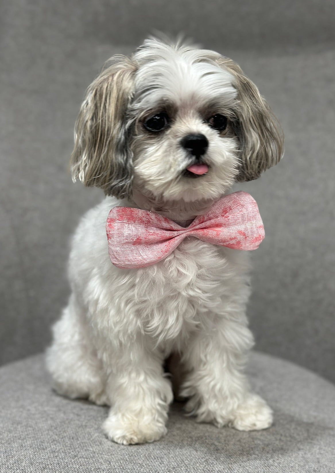 Bow Tie in Pink Floral Jacquard